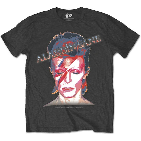 David Bowie Unisex T-Shirt Aladdin Sane (X-Large)