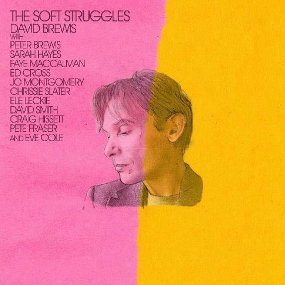 David Brewis - The Soft Struggles - Music & Performance - Vinyl