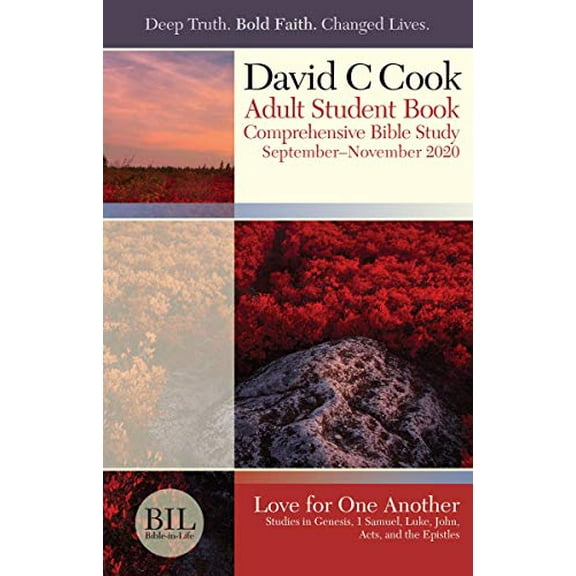 Pre-Owned David C. Cook Bible-in-Life Adult Comprehensive Bible Study Regular Print Student Book - Fall 2015 Paperback