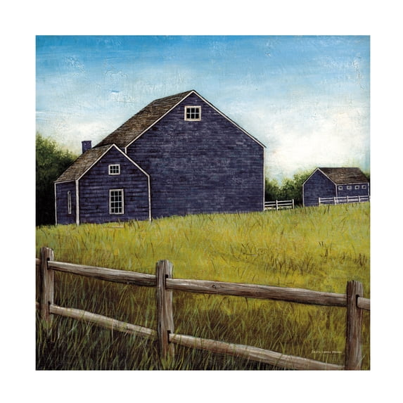 David Carter Brown 'Weathered Barns Navy' Canvas Art