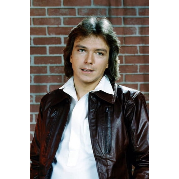 David Cassidy In Leather Jacket 24x36 Poster