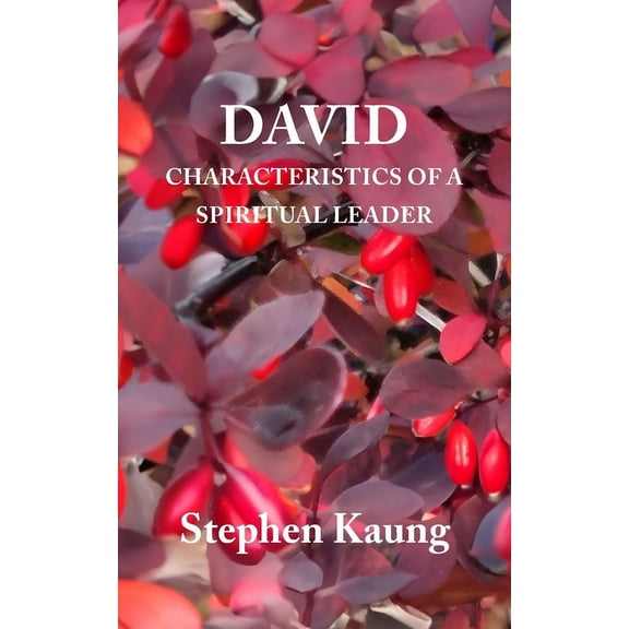 David: Characteristics of a Spiritual Leader (Paperback) by Stephen Kaung