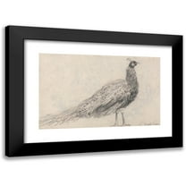 David Cox 14x11 Black Modern Framed Museum Art Print Titled - Peacock at Capel Curig (1840s)