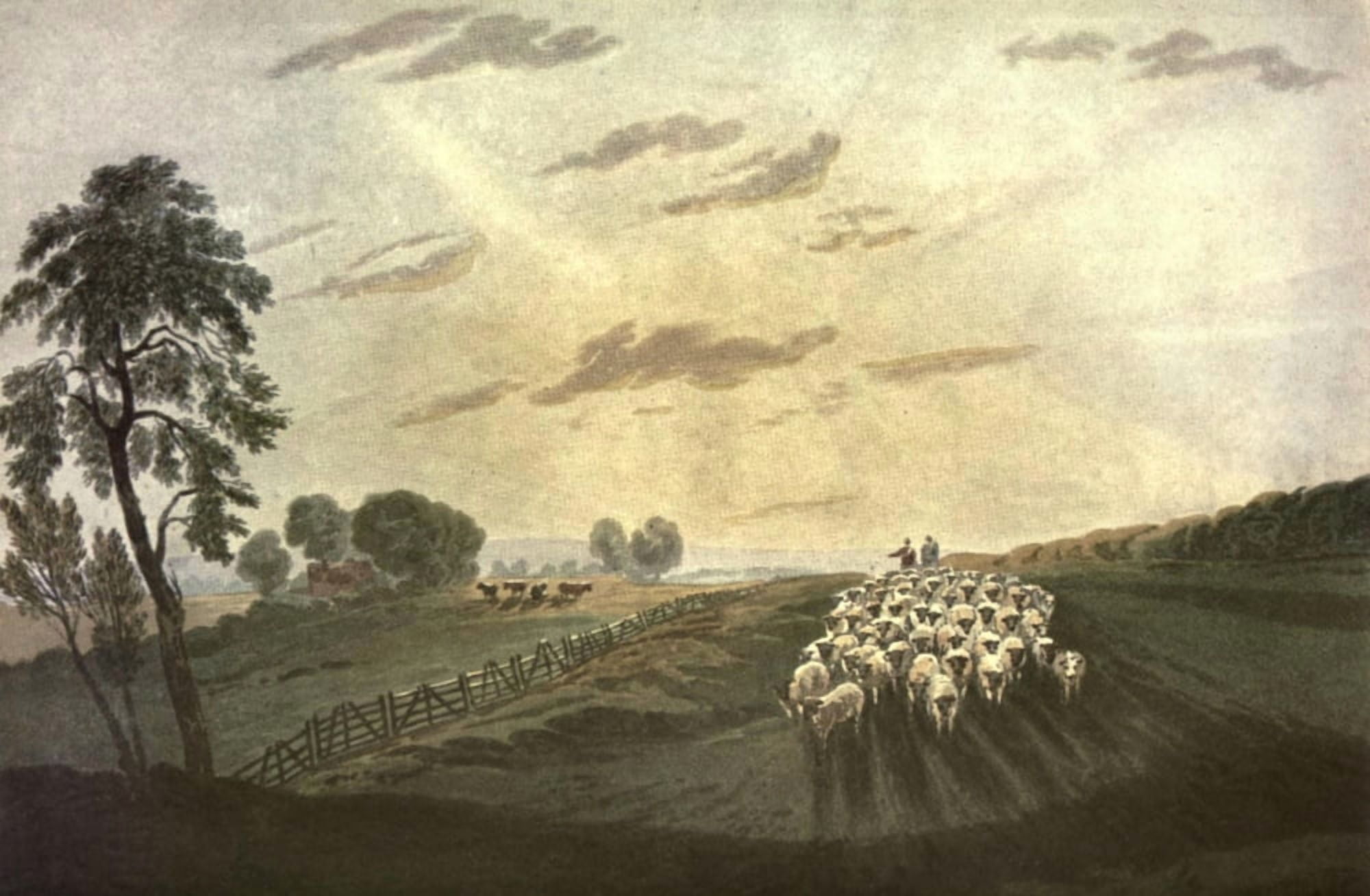 David Cox 1922 View in Surrey 2 Canvas Art - David Cox (24 x 36)