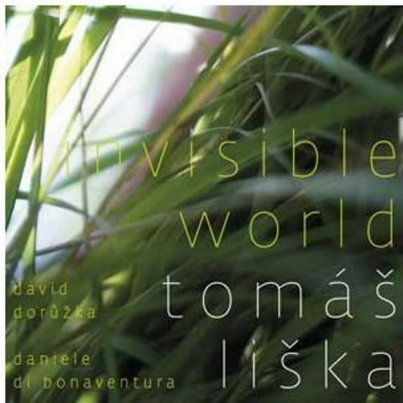 David Doruzka - Invisible World - Music & Performance - CD