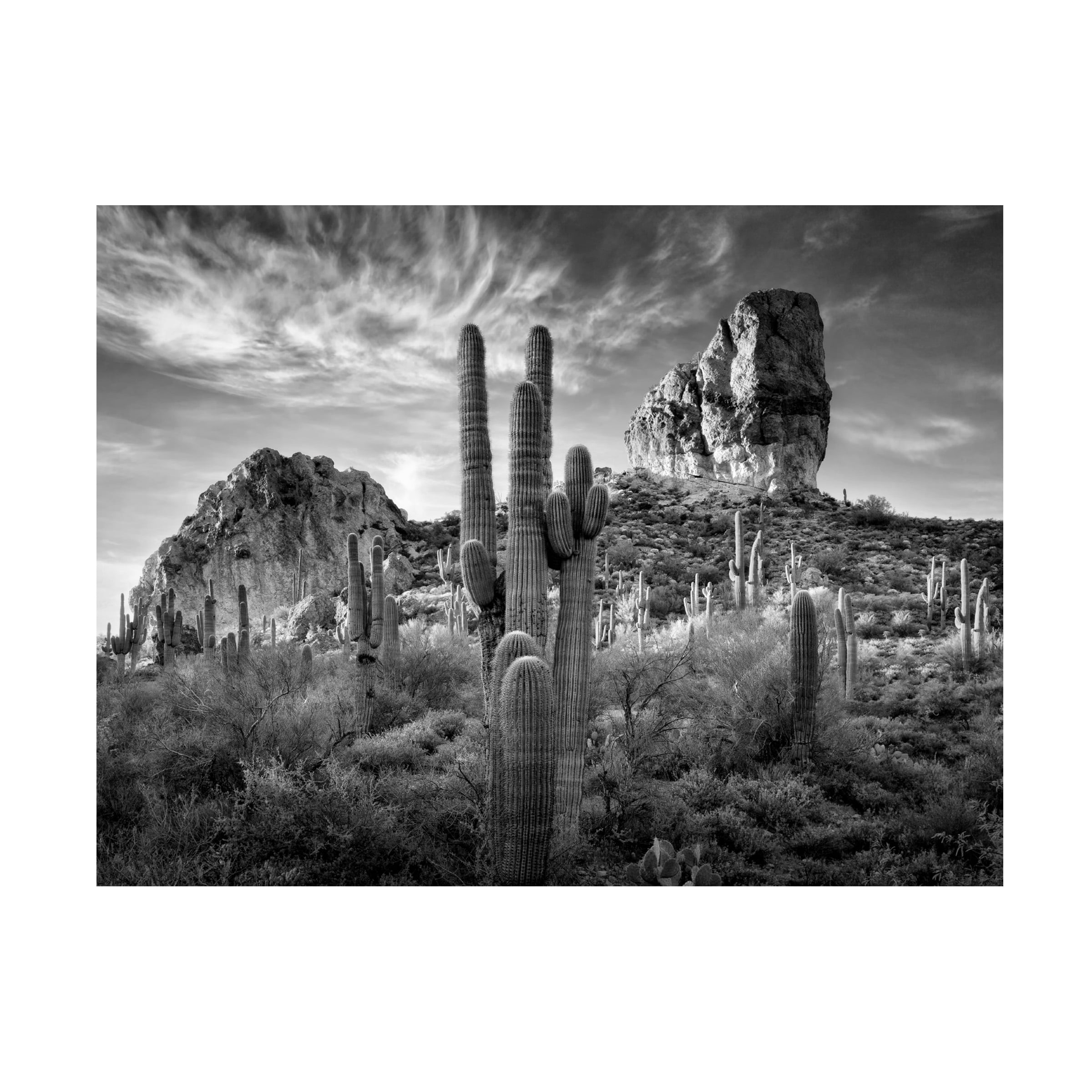 Trademark Fine Art David Drost Black And White Desert View I Canvas Wall Art - 18x24