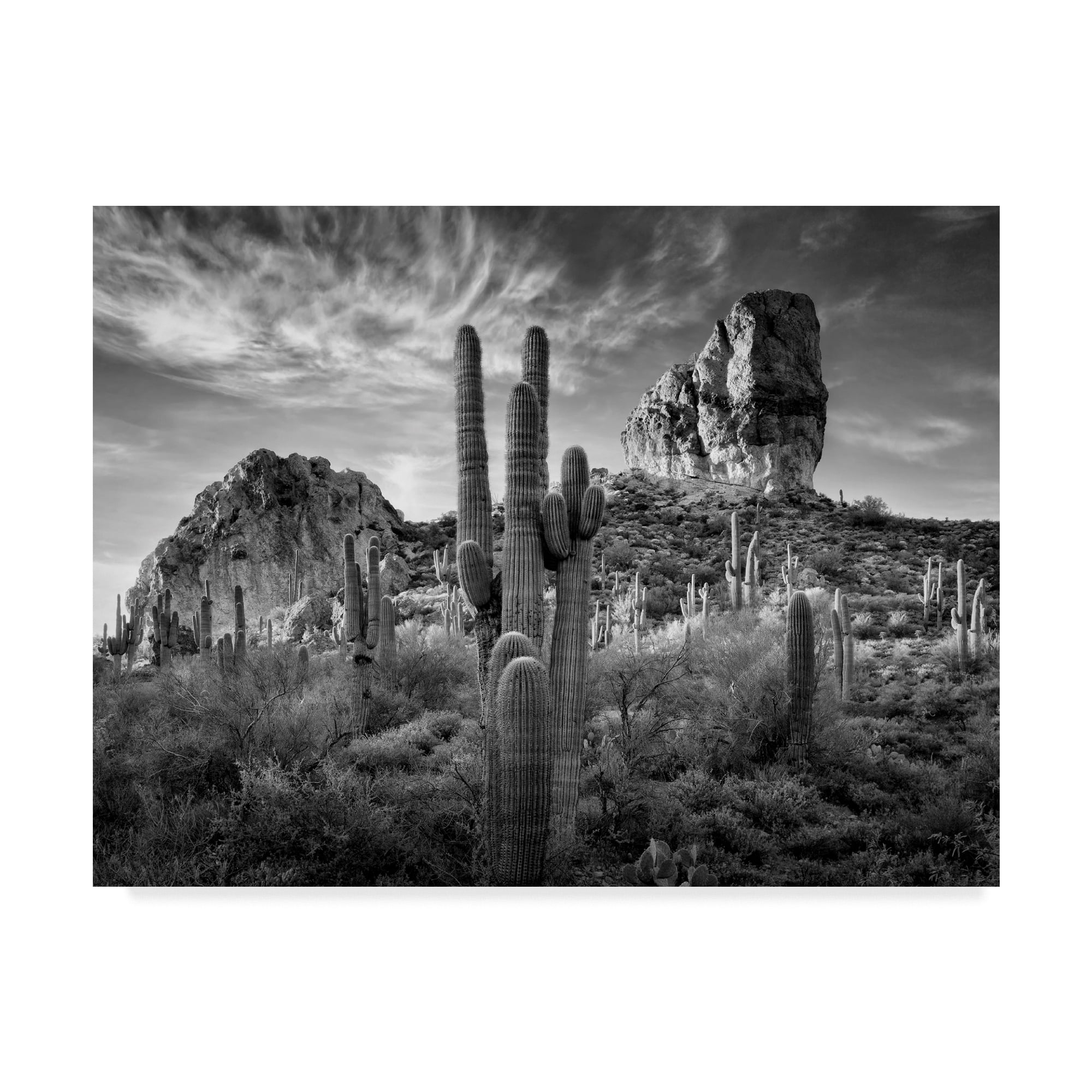 Black and White Desert Landscape Canvas Print, 18x24