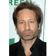 thumbnail image 1 of David Duchovny 24x36 Poster, 1 of 1
