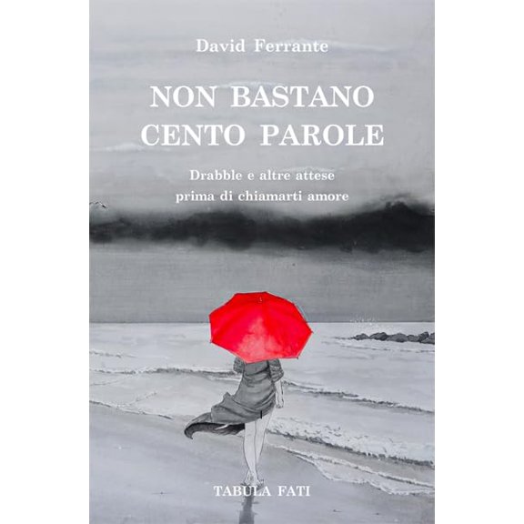 David Ferrante Non bastano cento parole. Drabble e altre attese prima di chiamarti (Paperback)