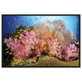 David Fleetham Fijian Reef Canvas Nature Art Prints by Notoriart