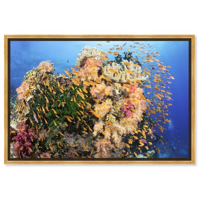 David Fleetham Fijian Reef II Canvas Nature Art Prints by Notoriart