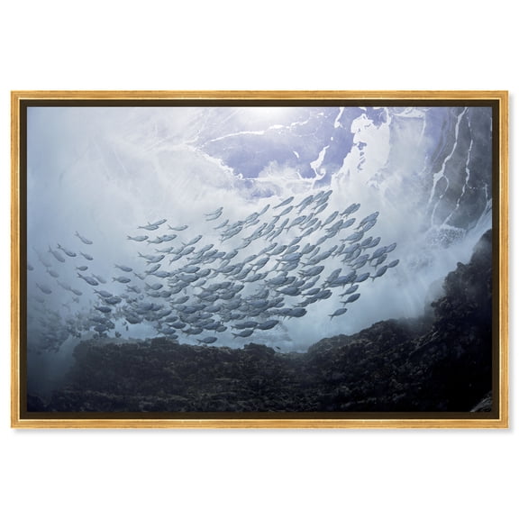 David Fleetham-Hawaiian Flagtails Under Sea Real Life Photography Canvas Wall Art by Notoriart, Gold Floater Frame, 15"x10"
