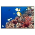 David FleethamHawaiian Reef Scene Under Sea Real Life Photography