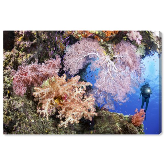 David Fleetham - Reef with Diver Canvas Nature Art Prints by Notoriart, Gallery Wrapped, 24" x 16"