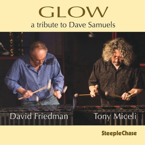 David Friedman - Glow - Music & Performance - CD