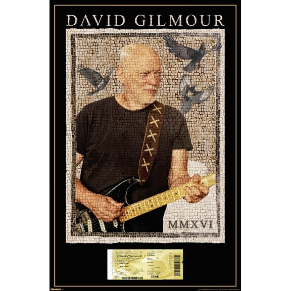 David Gilmour - Pompeii Mozaic Wall Poster, 14.725" x 22.375"
