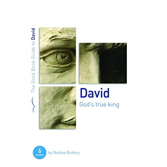 Pre-Owned David: God's True King: Six Studies for Individuals or Groups (Paperback) 1904889980 9781904889984