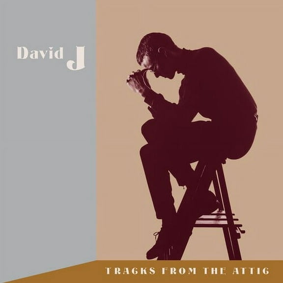 David J - Tracks From The Attic - Music & Performance - CD