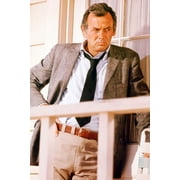 David Janssen Harry O Rare Color 24X36 Poster