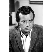 David Janssen The Fugitive Sports Jacket Classic Tv 24x36 Poster