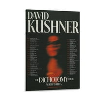 David Kushner Poster The Dichotomy Tour Canvas Poster Picture Print Canvas Poster Wall Paint Art Posters Decor Modern Home Artworks Gift 16x24inch(40x60cm)