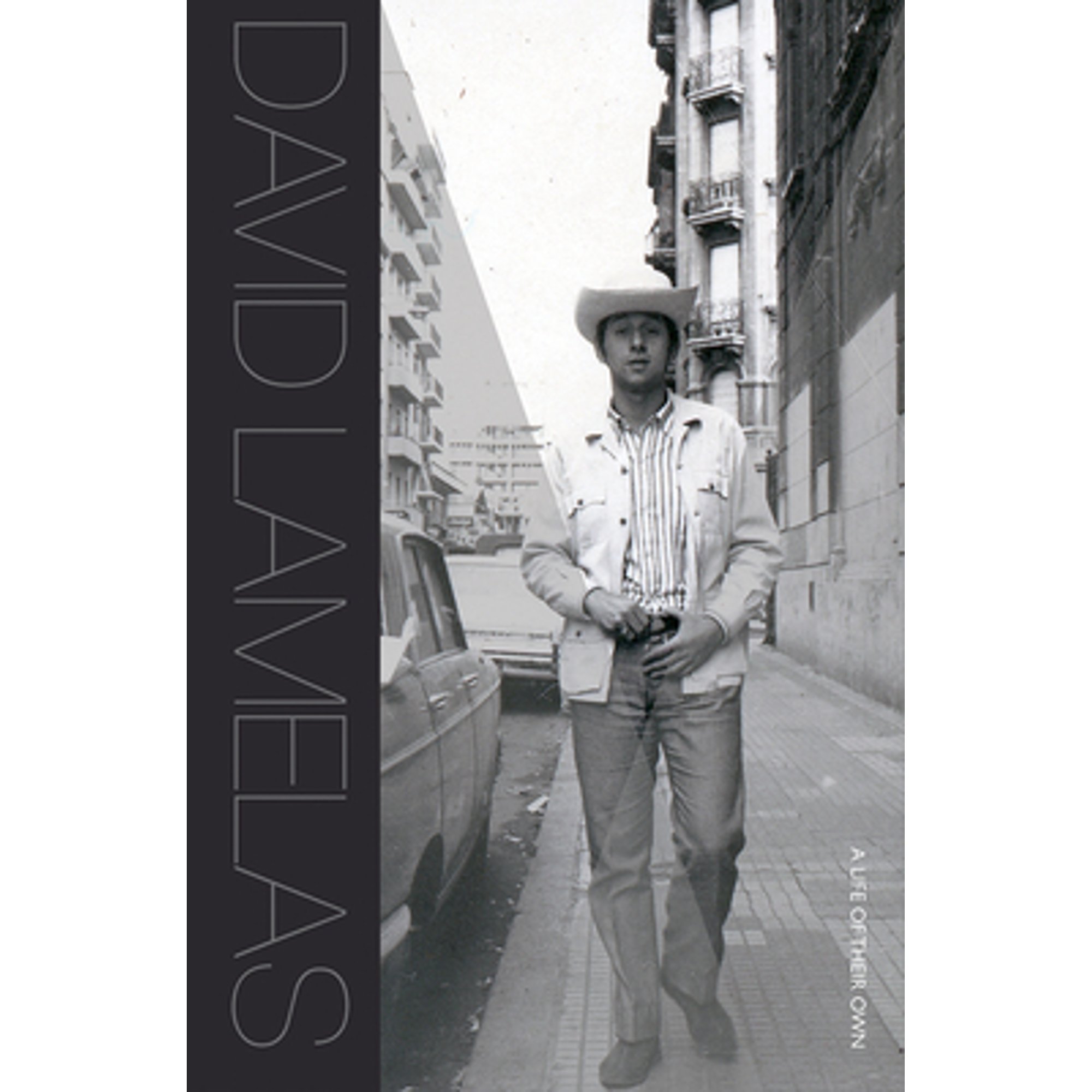 PreOwned David Lamelas A Life of Their Own (Hardcover 9781606065433