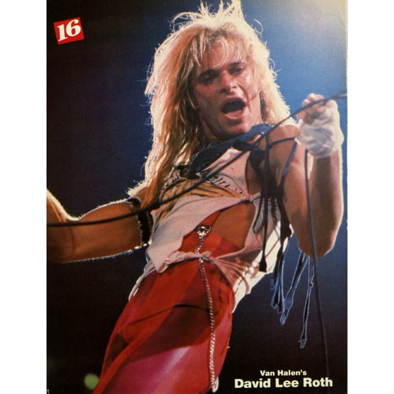 David Lee Roth Poster 24In x 36In Art Poster 24x36 Multi-Color Square Adults Best Posters