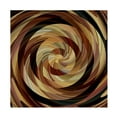 thumbnail image 1 of David Manlove 'Cinnamon Roll' Canvas Art, 1 of 3