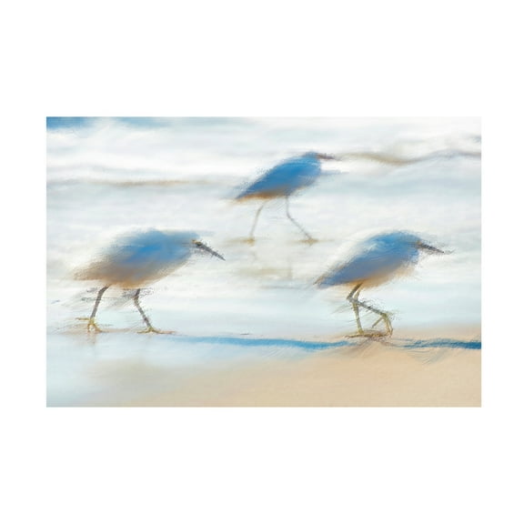 David Manlove 'Pipers on a beach A' Canvas Art