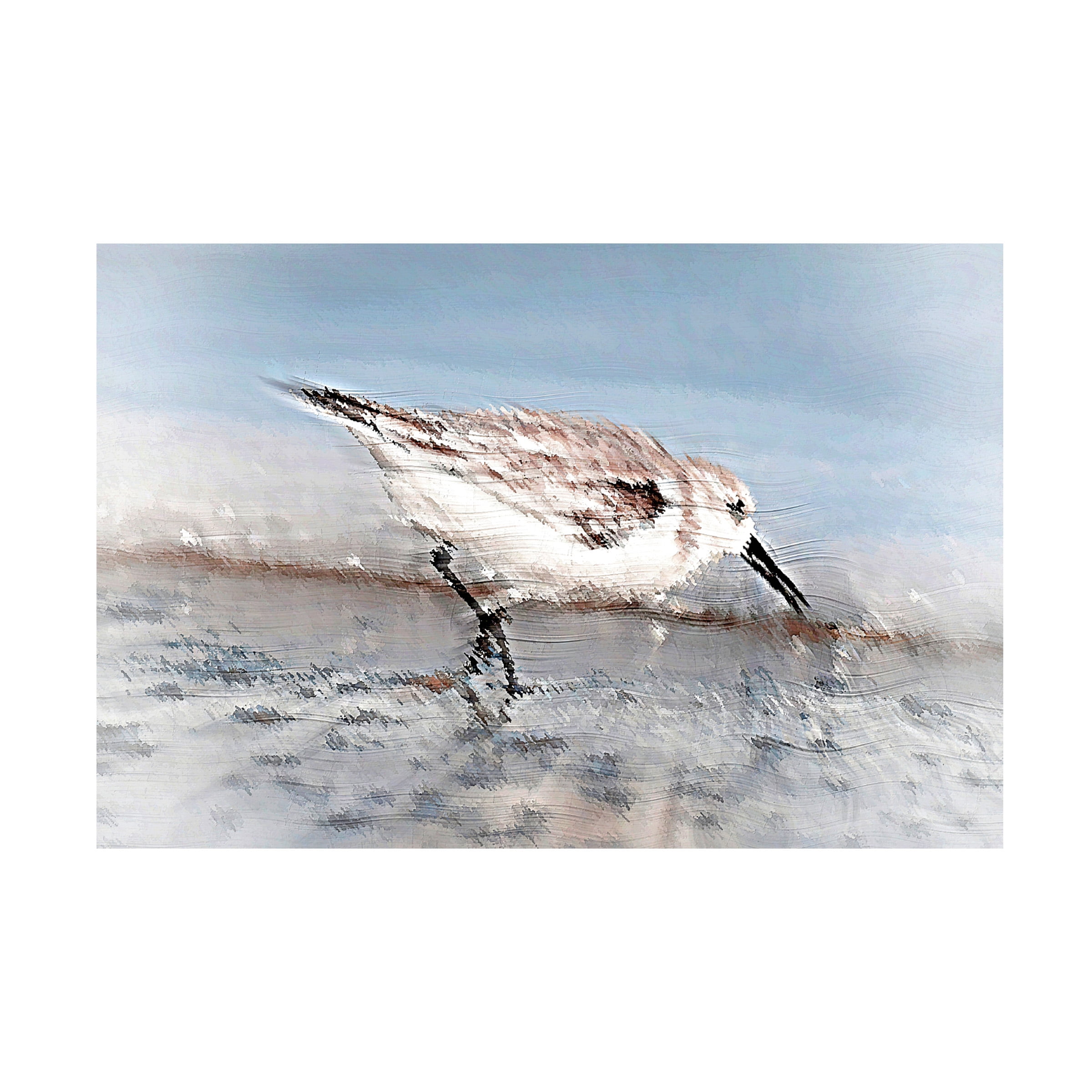 David Manlove 'Sand Piper A' Canvas Art