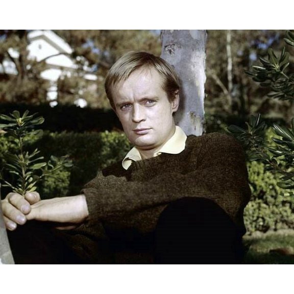 David McCallum Man From UNCLE in sweater poses by tree 1960's era 11x17 poster