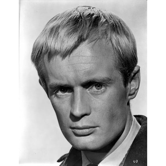David McCallum Photo Print (24 x 30)