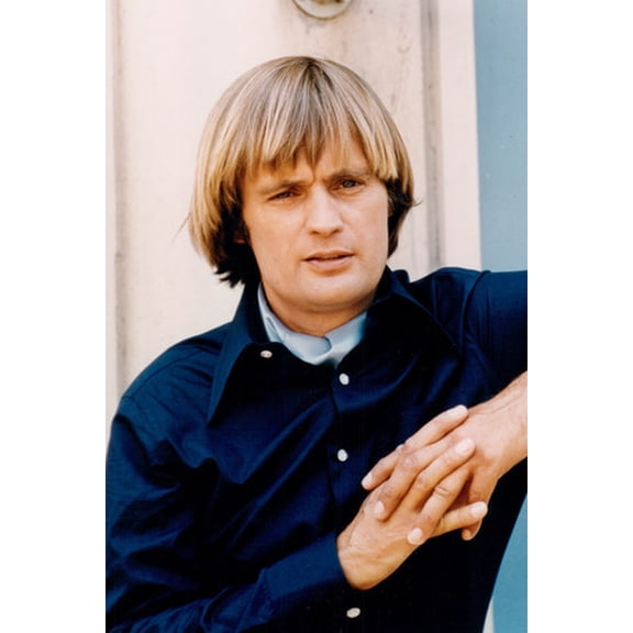 David Mccallum 24x36 Poster 1960's Pose