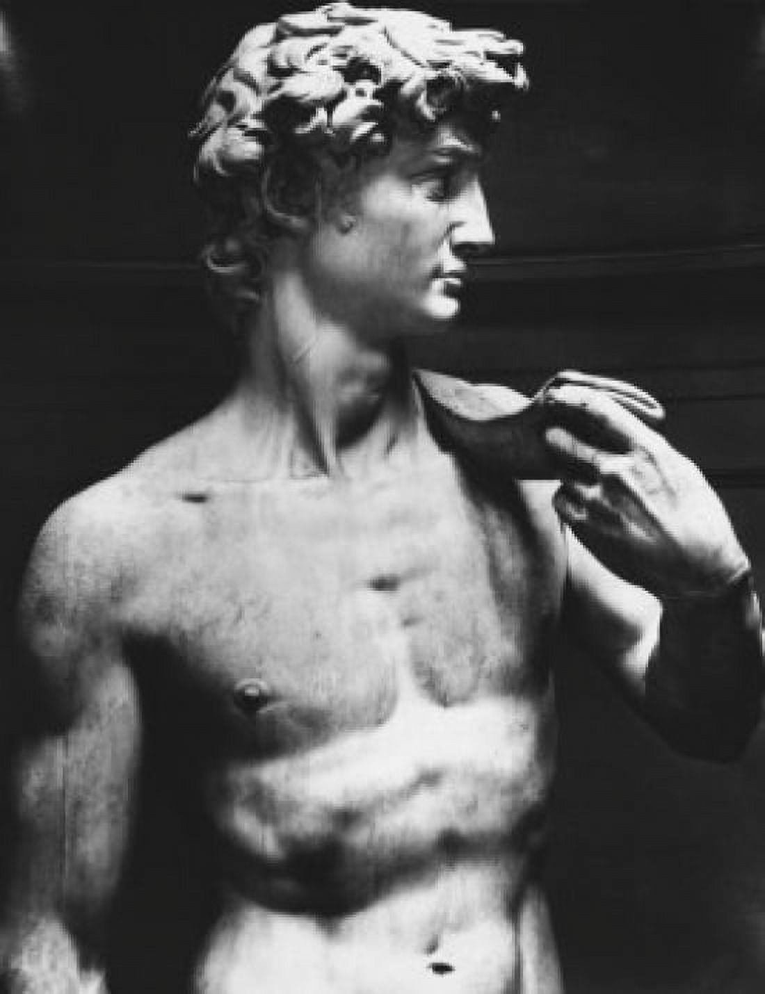 David Michelangelo Buonarroti (1475-1564 Italian) Marble Canvas Art - (18 x 24)