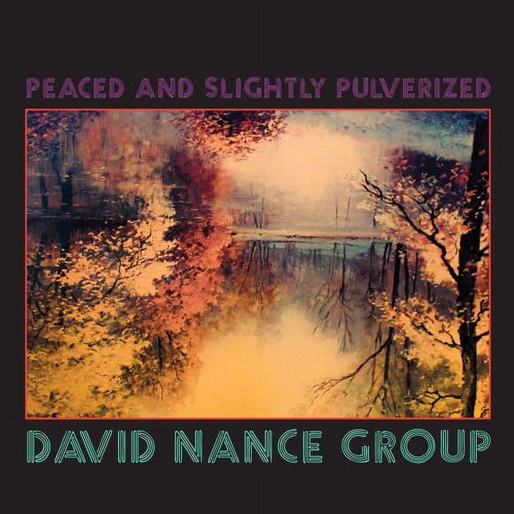 David Nance Group - Peaced And Slightly Pulverized - Music & Performance - Vinyl