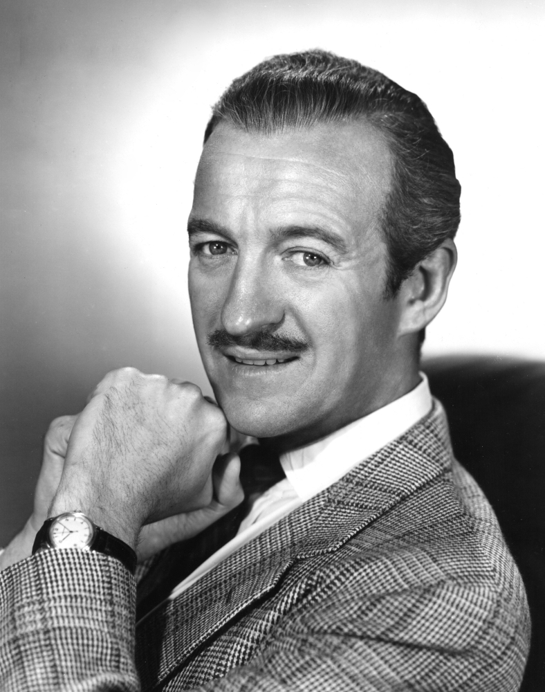 David Niven 19 Canvas Art - (16 x 20)