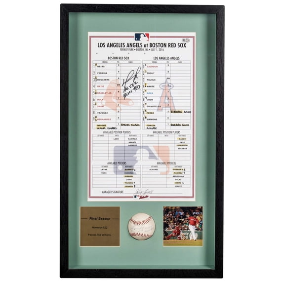 David Ortiz 522nd Home Run Signed Game Used Baseball Passes Ted Williams