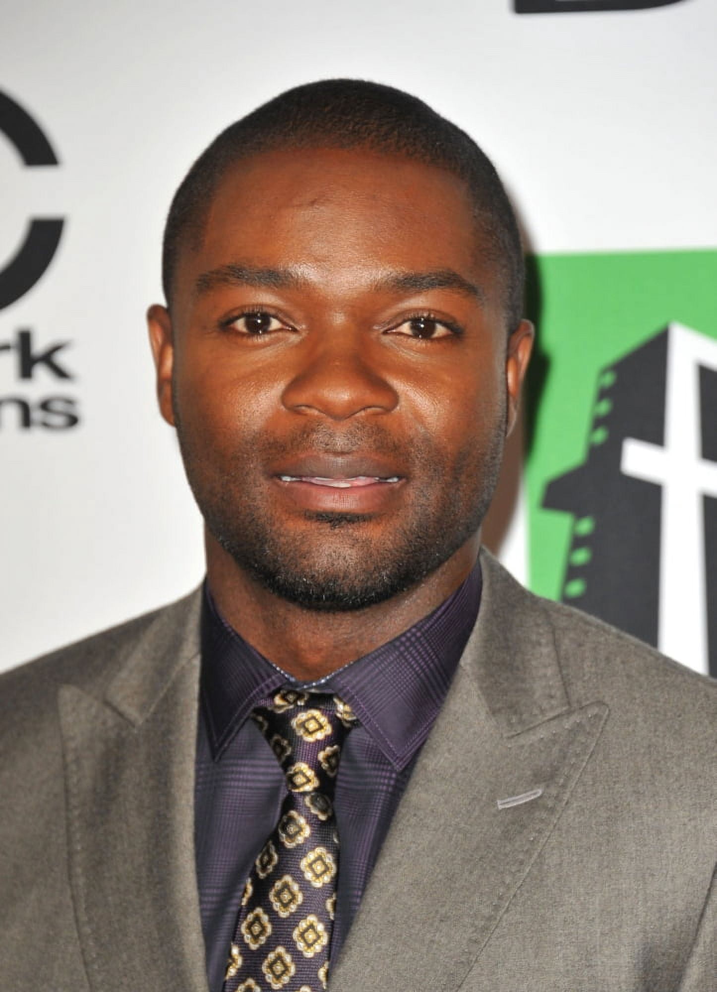 David Oyelowo At Arrivals For 17Th Annual Hollywood Film Awards Gala Canvas Art - (16 x 20)