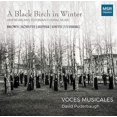 thumbnail image 1 of David Puderbaugh & Voces Musicales - Black Birch in Winter - Music & Performance - CD, 1 of 1
