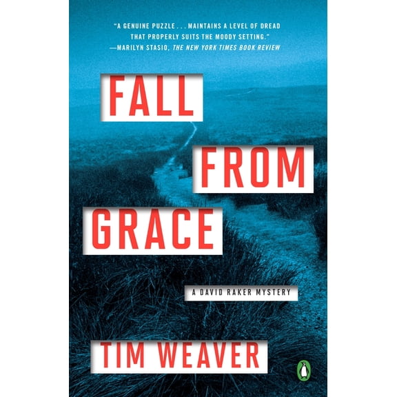 David Raker Mystery Fall from Grace: A David Raker Mystery, (Paperback)