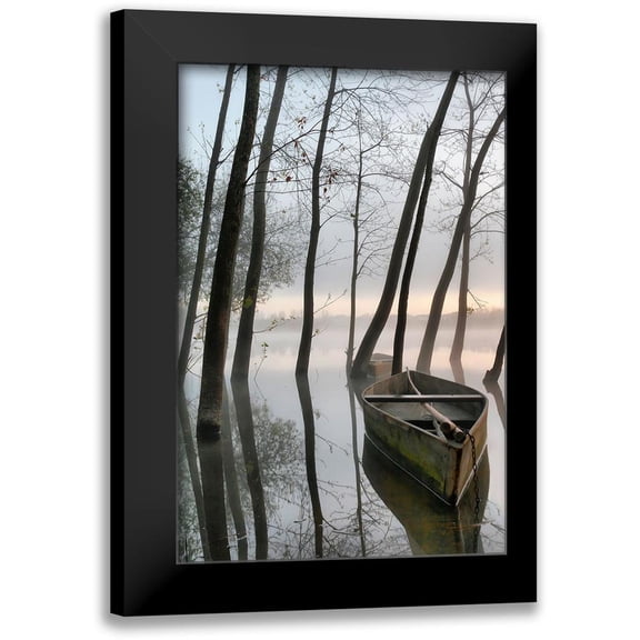 David, Rui 11x14 Black Modern Framed Museum Art Print Titled - Serene Dawn