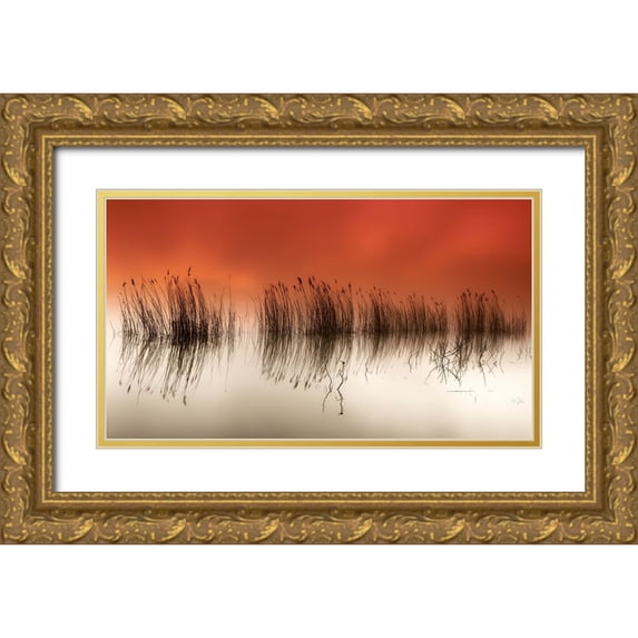 David, Rui 32x20 Gold Ornate Wood Framed with Double Matting Museum Art Print Titled - Serenity