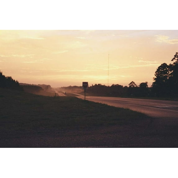 David Shama: Do Not Feed Alligators, (Hardcover)