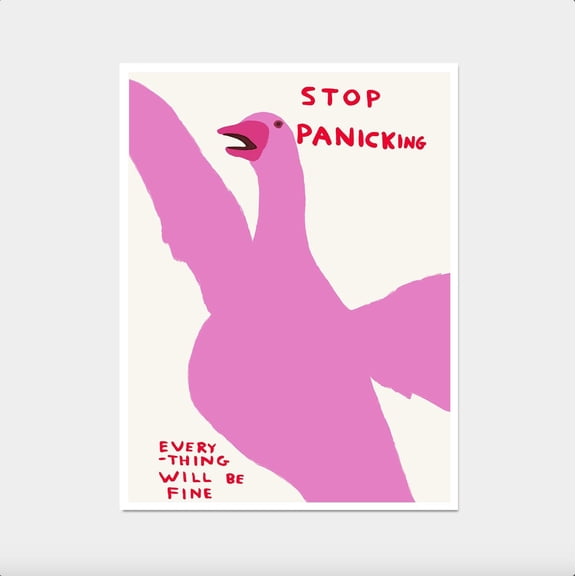 David Shrigley. Stop Panicking. Shrigley Goose. Contemporary Art. Home . Funny Living Room Quote Poster. Kitchen , Poster Print Only
