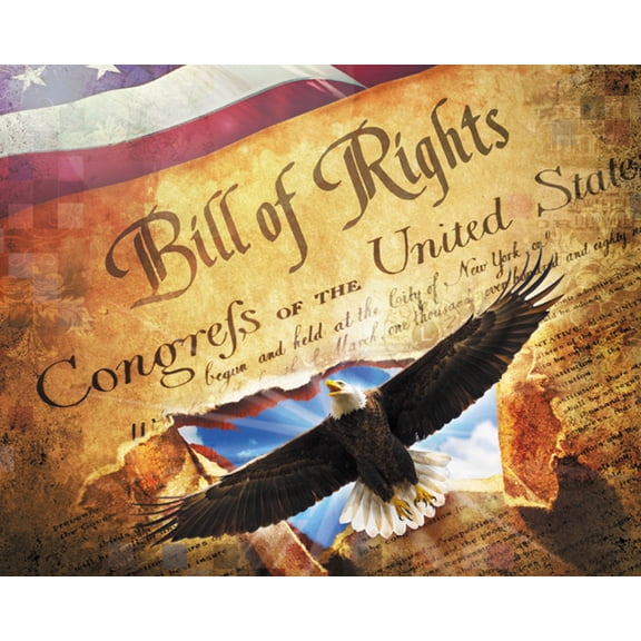 David Textiles American Patriotic Land of Liberty Bill of Rights 35" Panel 100% Cotton Fabric by The Panel