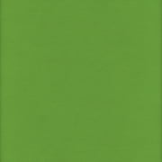 David Textiles Inc. 42" 100% Cotton Flannel Solid Sewing & Craft Fabric By the Yard, Kelly Green