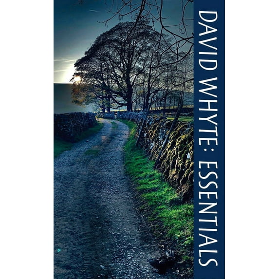 David Whyte Essentials, (Paperback)