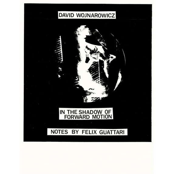 David Wojnarowicz: In the Shadow of Forward Motion, (Paperback)