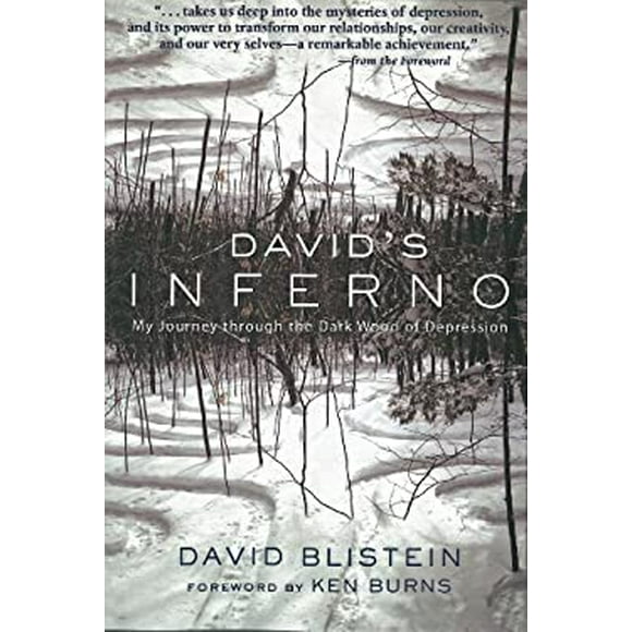 Pre-Owned Davids Inferno: My Journey Through the Dark Wood of Depression  Paperback David Blistein