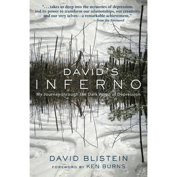 David's Inferno : My Journey Through the Dark Wood of Depression